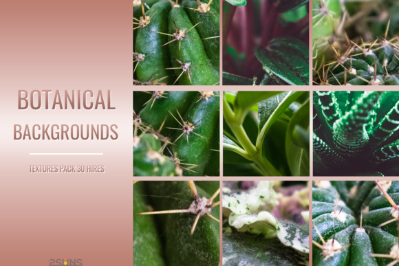 Download Botanical Textures Pack Backgrounds - Textures Collection